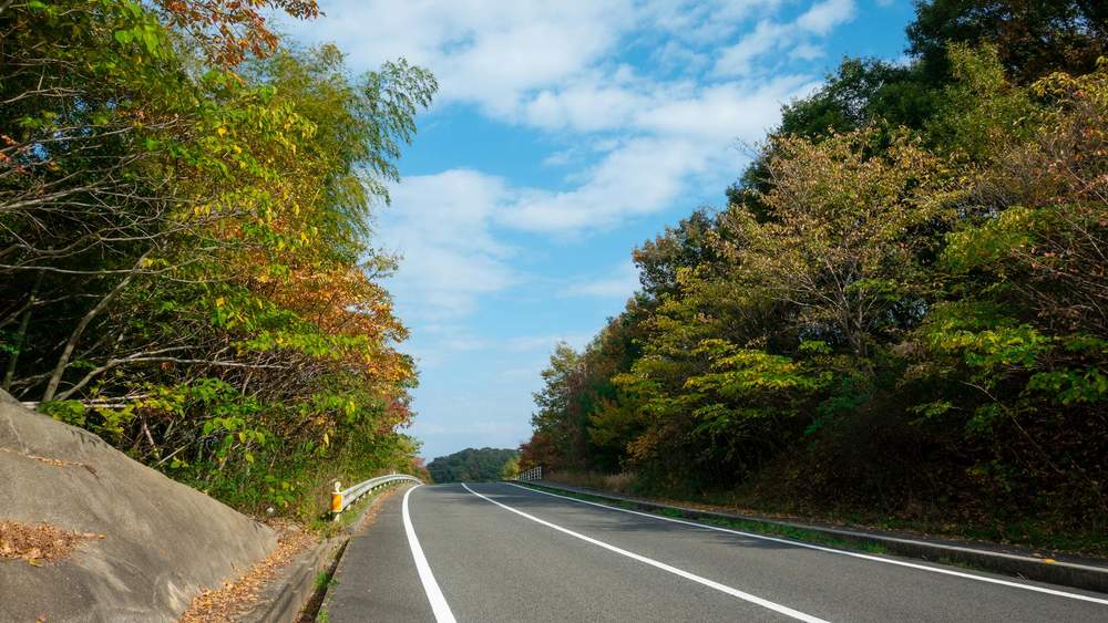 マッチングアプリ 地方